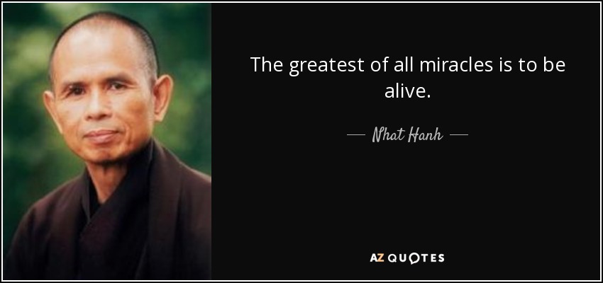 The greatest of all miracles is to be alive. - Nhat Hanh