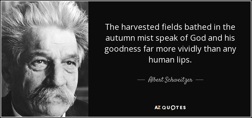 The harvested fields bathed in the autumn mist speak of God and his goodness far more vividly than any human lips. - Albert Schweitzer