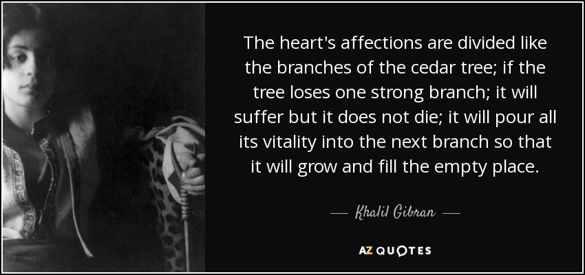 The heart's affections are divided like the branches of the cedar tree; if the tree loses one strong branch; it will suffer but it does not die; it will pour all its vitality into the next branch so that it will grow and fill the empty place. - Khalil Gibran