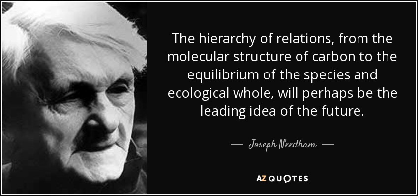 The hierarchy of relations, from the molecular structure of carbon to the equilibrium of the species and ecological whole, will perhaps be the leading idea of the future. - Joseph Needham