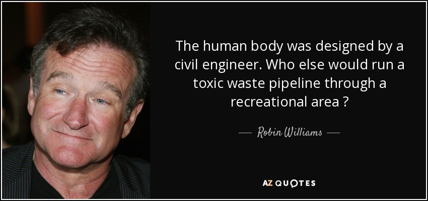 The human body was designed by a civil engineer. Who else would run a toxic waste pipeline through a recreational area ? - Robin Williams