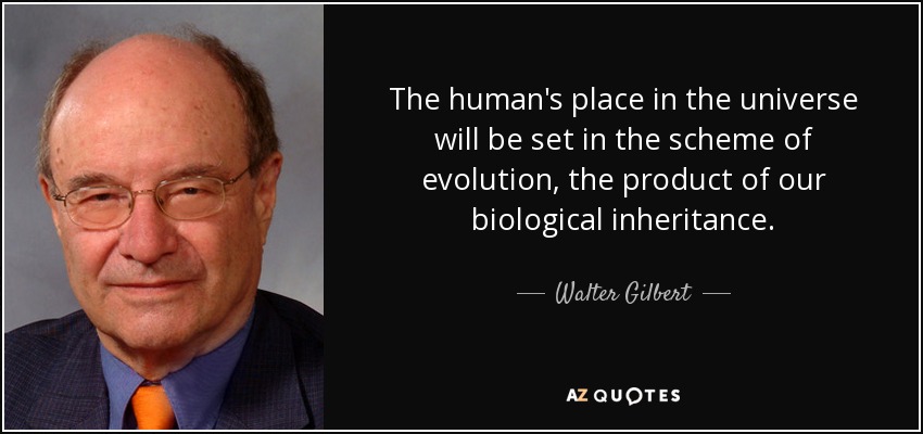 The human's place in the universe will be set in the scheme of evolution, the product of our biological inheritance. - Walter Gilbert