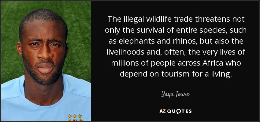 The illegal wildlife trade threatens not only the survival of entire species, such as elephants and rhinos, but also the livelihoods and, often, the very lives of millions of people across Africa who depend on tourism for a living. - Yaya Toure