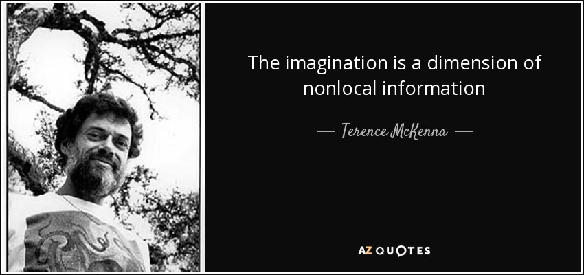 The imagination is a dimension of nonlocal information - Terence McKenna