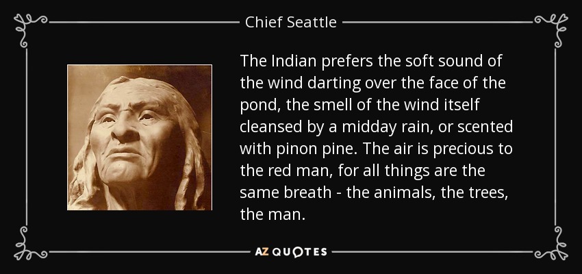 The Indian prefers the soft sound of the wind darting over the face of the pond, the smell of the wind itself cleansed by a midday rain, or scented with pinon pine. The air is precious to the red man, for all things are the same breath - the animals, the trees, the man. - Chief Seattle
