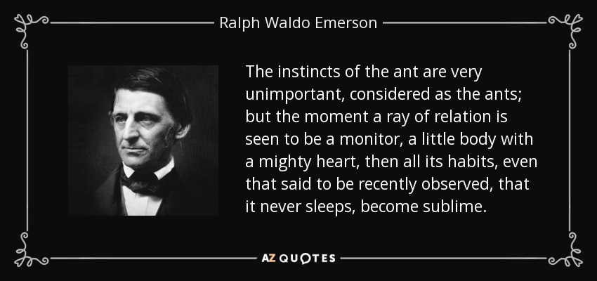 The instincts of the ant are very unimportant, considered as the ants; but the moment a ray of relation is seen to be a monitor, a little body with a mighty heart, then all its habits, even that said to be recently observed, that it never sleeps, become sublime. - Ralph Waldo Emerson