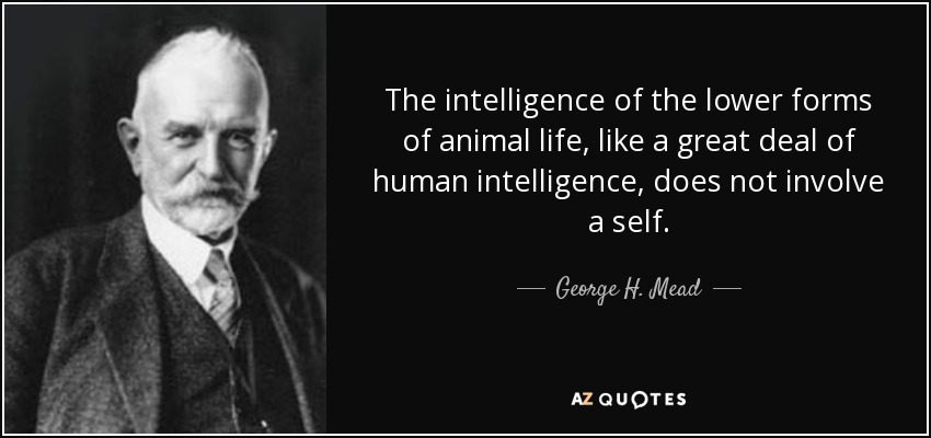 The intelligence of the lower forms of animal life, like a great deal of human intelligence, does not involve a self. - George H. Mead