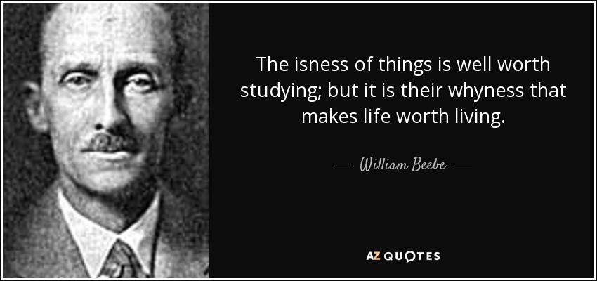 The isness of things is well worth studying; but it is their whyness that makes life worth living. - William Beebe