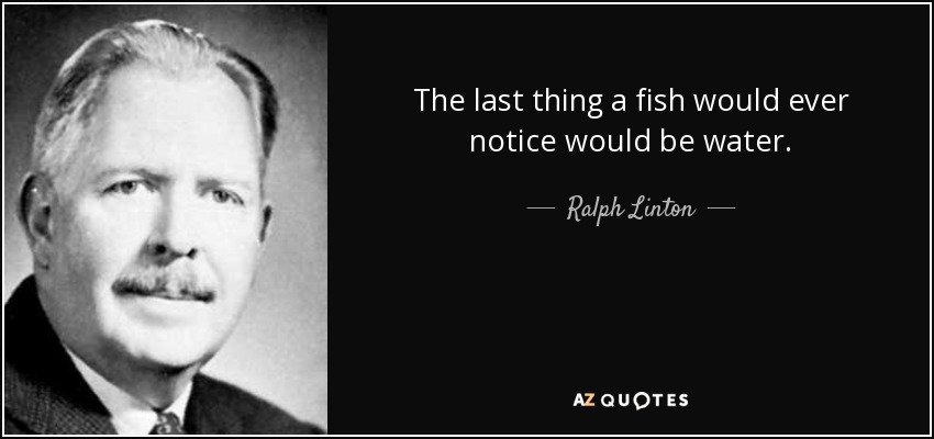 The last thing a fish would ever notice would be water. - Ralph Linton