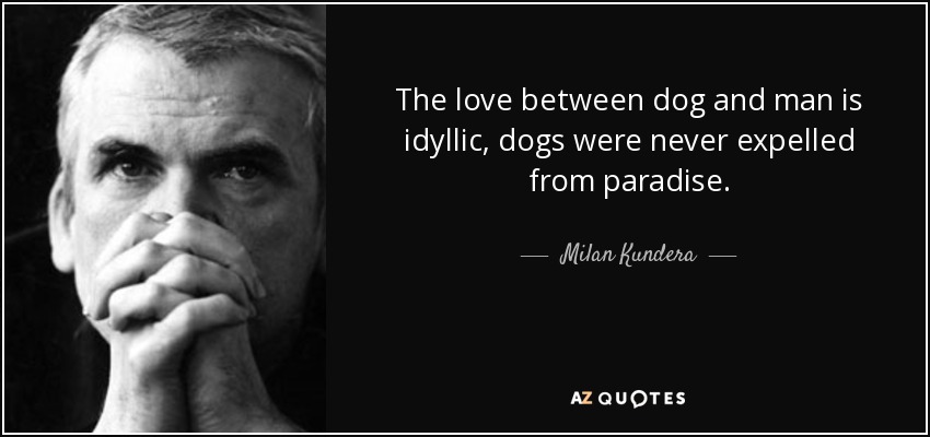 The love between dog and man is idyllic, dogs were never expelled from paradise. - Milan Kundera