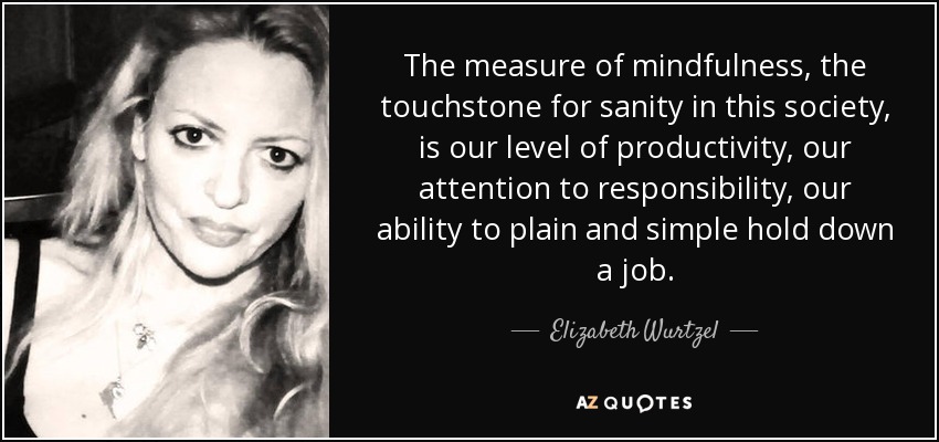 The measure of mindfulness, the touchstone for sanity in this society, is our level of productivity, our attention to responsibility, our ability to plain and simple hold down a job. - Elizabeth Wurtzel