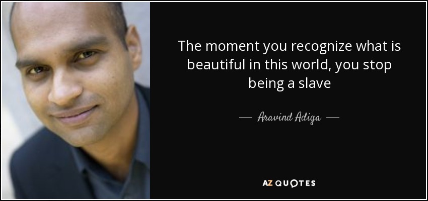 The moment you recognize what is beautiful in this world, you stop being a slave - Aravind Adiga
