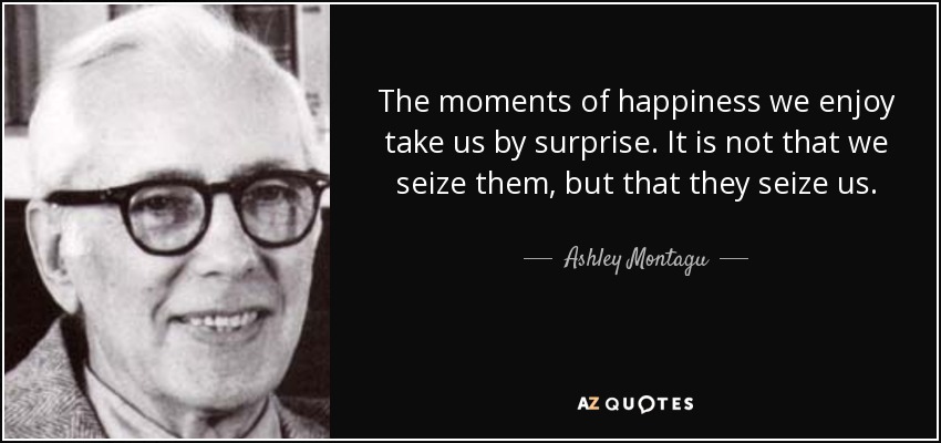 The moments of happiness we enjoy take us by surprise. It is not that we seize them, but that they seize us. - Ashley Montagu