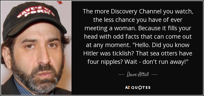 The more Discovery Channel you watch, the less chance you have of ever meeting a woman. Because it fills your head with odd facts that can come out at any moment. 