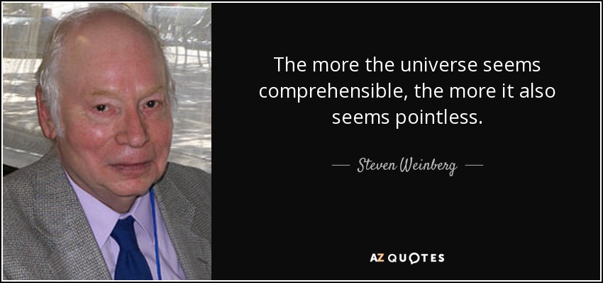 The more the universe seems comprehensible, the more it also seems pointless. - Steven Weinberg