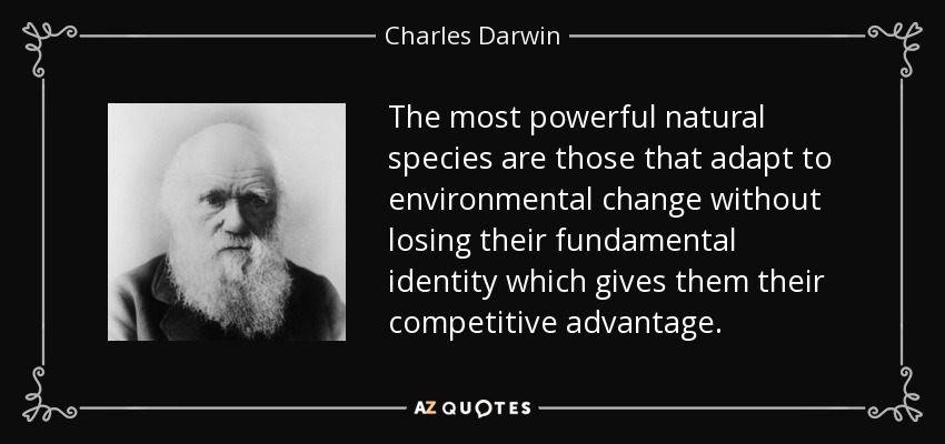 The most powerful natural species are those that adapt to environmental change without losing their fundamental identity which gives them their competitive advantage. - Charles Darwin