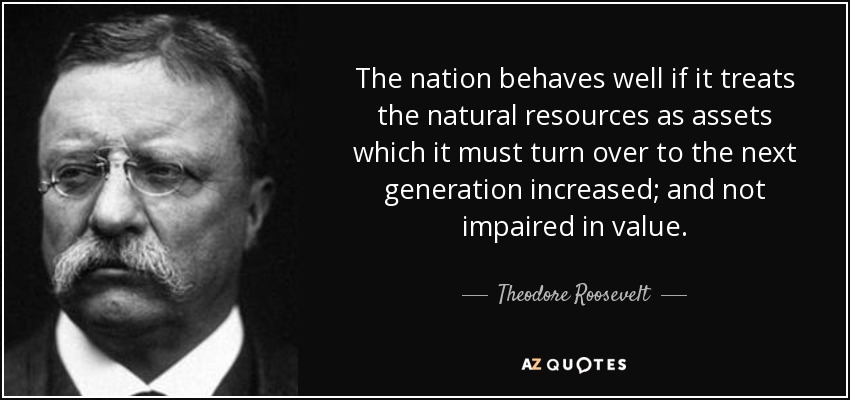 The nation behaves well if it treats the natural resources as assets which it must turn over to the next generation increased; and not impaired in value. - Theodore Roosevelt