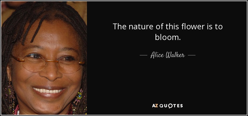 The nature of this flower is to bloom. - Alice Walker
