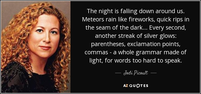 The night is falling down around us. Meteors rain like fireworks, quick rips in the seam of the dark... Every second, another streak of silver glows: parentheses, exclamation points, commas - a whole grammar made of light, for words too hard to speak. - Jodi Picoult