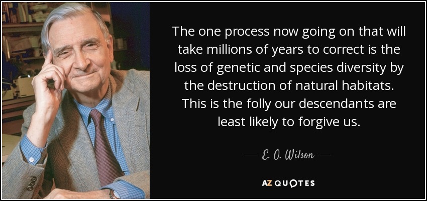 The one process now going on that will take millions of years to correct is the loss of genetic and species diversity by the destruction of natural habitats. This is the folly our descendants are least likely to forgive us. - E. O. Wilson