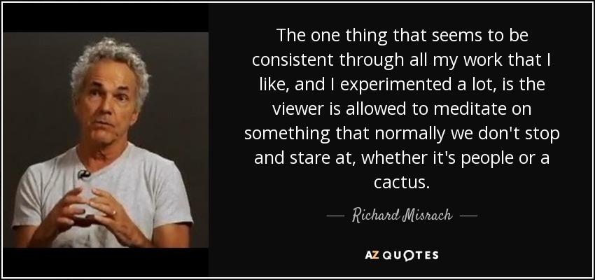 The one thing that seems to be consistent through all my work that I like, and I experimented a lot, is the viewer is allowed to meditate on something that normally we don't stop and stare at, whether it's people or a cactus. - Richard Misrach