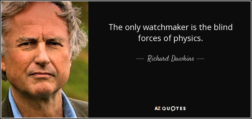 The only watchmaker is the blind forces of physics. - Richard Dawkins