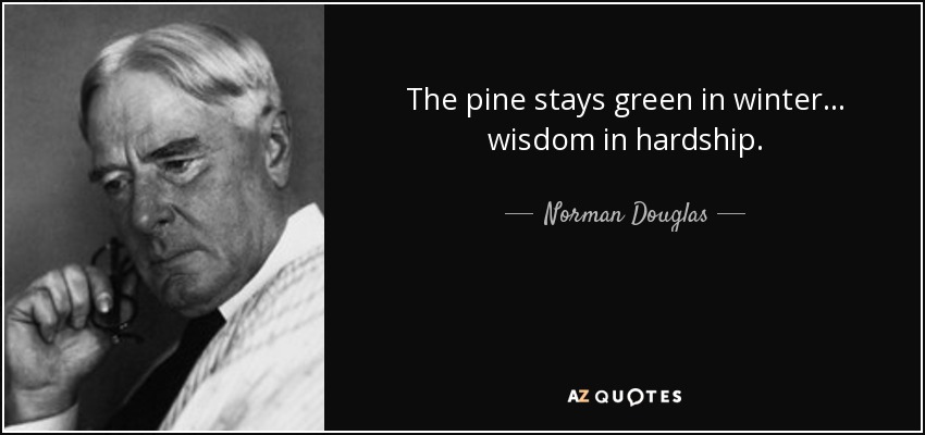 The pine stays green in winter... wisdom in hardship. - Norman Douglas