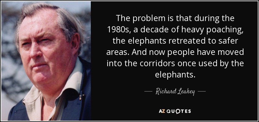 The problem is that during the 1980s, a decade of heavy poaching, the elephants retreated to safer areas. And now people have moved into the corridors once used by the elephants. - Richard Leakey