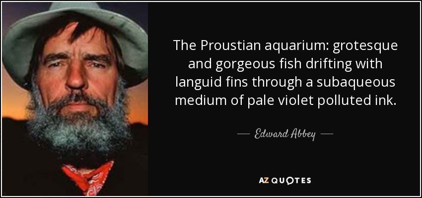 The Proustian aquarium: grotesque and gorgeous fish drifting with languid fins through a subaqueous medium of pale violet polluted ink. - Edward Abbey