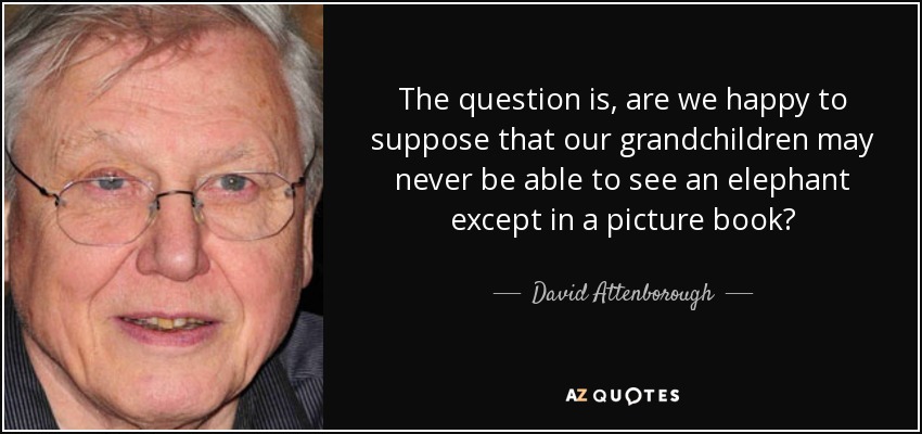 The question is, are we happy to suppose that our grandchildren may never be able to see an elephant except in a picture book? - David Attenborough