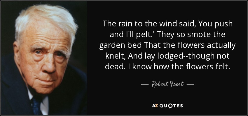 The rain to the wind said, You push and I'll pelt.' They so smote the garden bed That the flowers actually knelt, And lay lodged--though not dead. I know how the flowers felt. - Robert Frost