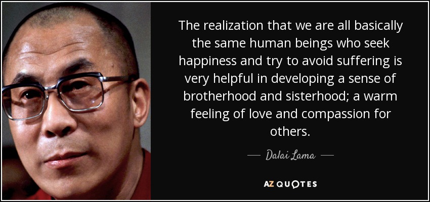 The realization that we are all basically the same human beings who seek happiness and try to avoid suffering is very helpful in developing a sense of brotherhood and sisterhood; a warm feeling of love and compassion for others. - Dalai Lama