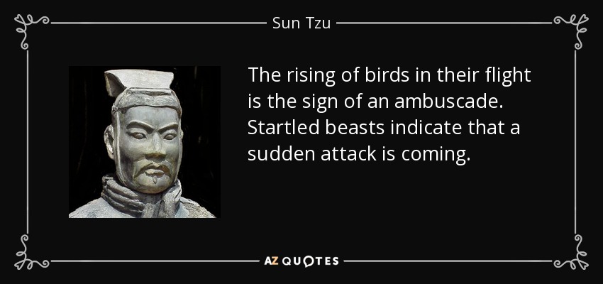 The rising of birds in their flight is the sign of an ambuscade. Startled beasts indicate that a sudden attack is coming. - Sun Tzu