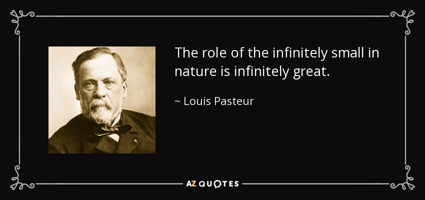 The role of the infinitely small in nature is infinitely great. - Louis Pasteur