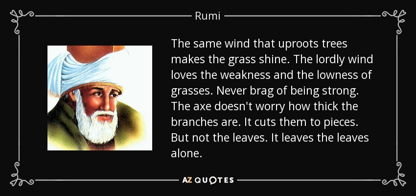 The same wind that uproots trees makes the grass shine. The lordly wind loves the weakness and the lowness of grasses. Never brag of being strong. The axe doesn't worry how thick the branches are. It cuts them to pieces. But not the leaves. It leaves the leaves alone. - Rumi