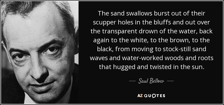 The sand swallows burst out of their scupper holes in the bluffs and out over the transparent drown of the water, back again to the white, to the brown, to the black, from moving to stock-still sand waves and water-worked woods and roots that hugged and twisted in the sun. - Saul Bellow