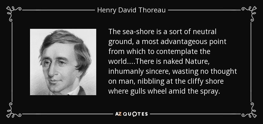 The sea-shore is a sort of neutral ground, a most advantageous point from which to contemplate the world....There is naked Nature, inhumanly sincere, wasting no thought on man, nibbling at the cliffy shore where gulls wheel amid the spray. - Henry David Thoreau