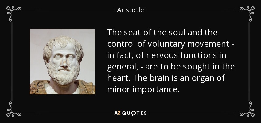 The seat of the soul and the control of voluntary movement - in fact, of nervous functions in general, - are to be sought in the heart. The brain is an organ of minor importance. - Aristotle