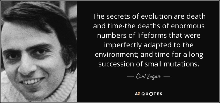The secrets of evolution are death and time-the deaths of enormous numbers of lifeforms that were imperfectly adapted to the environment; and time for a long succession of small mutations. - Carl Sagan