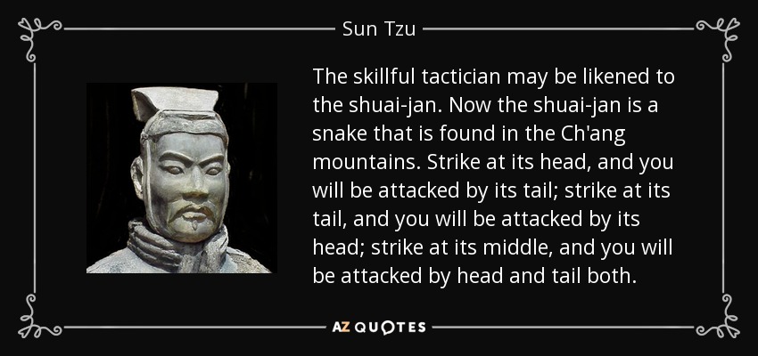 The skillful tactician may be likened to the shuai-jan. Now the shuai-jan is a snake that is found in the Ch'ang mountains. Strike at its head, and you will be attacked by its tail; strike at its tail, and you will be attacked by its head; strike at its middle, and you will be attacked by head and tail both. - Sun Tzu