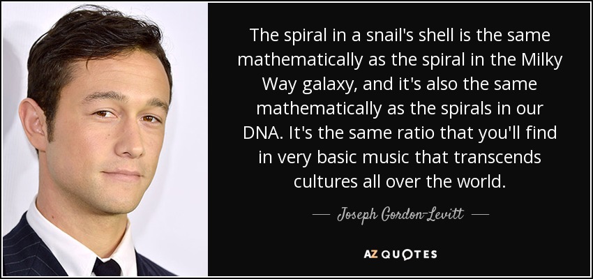The spiral in a snail's shell is the same mathematically as the spiral in the Milky Way galaxy, and it's also the same mathematically as the spirals in our DNA. It's the same ratio that you'll find in very basic music that transcends cultures all over the world. - Joseph Gordon-Levitt