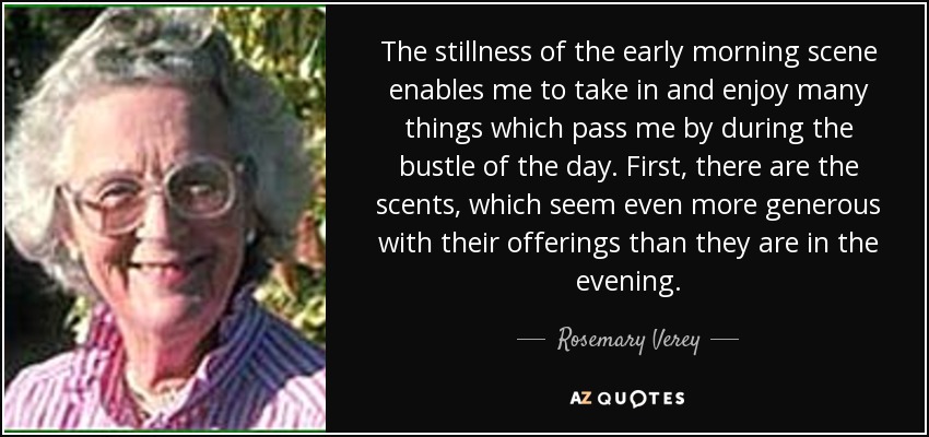 The stillness of the early morning scene enables me to take in and enjoy many things which pass me by during the bustle of the day. First, there are the scents, which seem even more generous with their offerings than they are in the evening. - Rosemary Verey