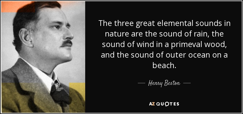 The three great elemental sounds in nature are the sound of rain, the sound of wind in a primeval wood, and the sound of outer ocean on a beach. - Henry Beston