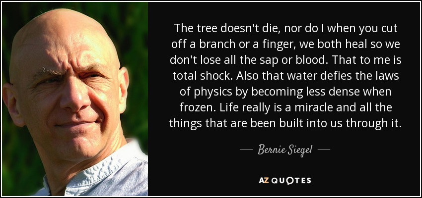 The tree doesn't die, nor do I when you cut off a branch or a finger, we both heal so we don't lose all the sap or blood. That to me is total shock. Also that water defies the laws of physics by becoming less dense when frozen. Life really is a miracle and all the things that are been built into us through it. - Bernie Siegel