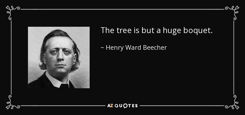 The tree is but a huge boquet. - Henry Ward Beecher