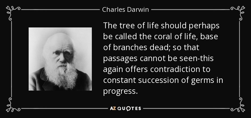 The tree of life should perhaps be called the coral of life, base of branches dead; so that passages cannot be seen-this again offers contradiction to constant succession of germs in progress. - Charles Darwin