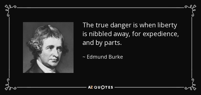 The true danger is when liberty is nibbled away, for expedience, and by parts. - Edmund Burke