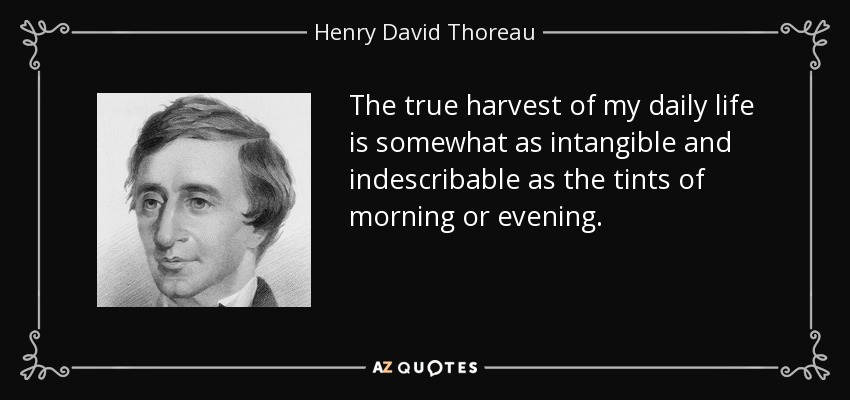 The true harvest of my daily life is somewhat as intangible and indescribable as the tints of morning or evening. - Henry David Thoreau