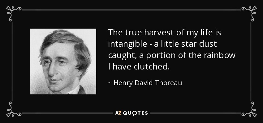 The true harvest of my life is intangible - a little star dust caught, a portion of the rainbow I have clutched. - Henry David Thoreau
