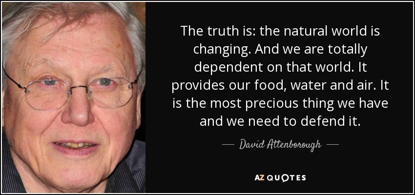 The truth is: the natural world is changing. And we are totally dependent on that world. It provides our food, water and air. It is the most precious thing we have and we need to defend it. - David Attenborough